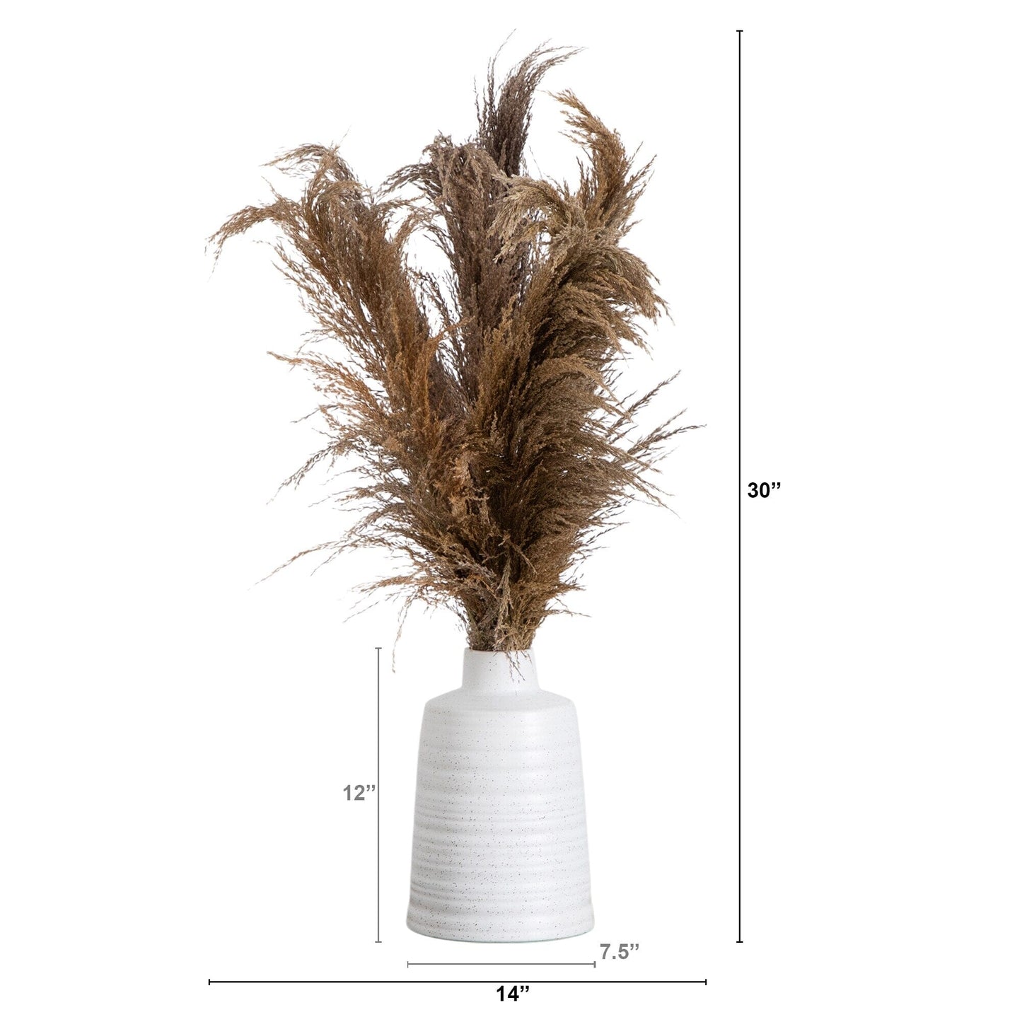 Dried Natural Pampas Arrangement in Ceramic Vase