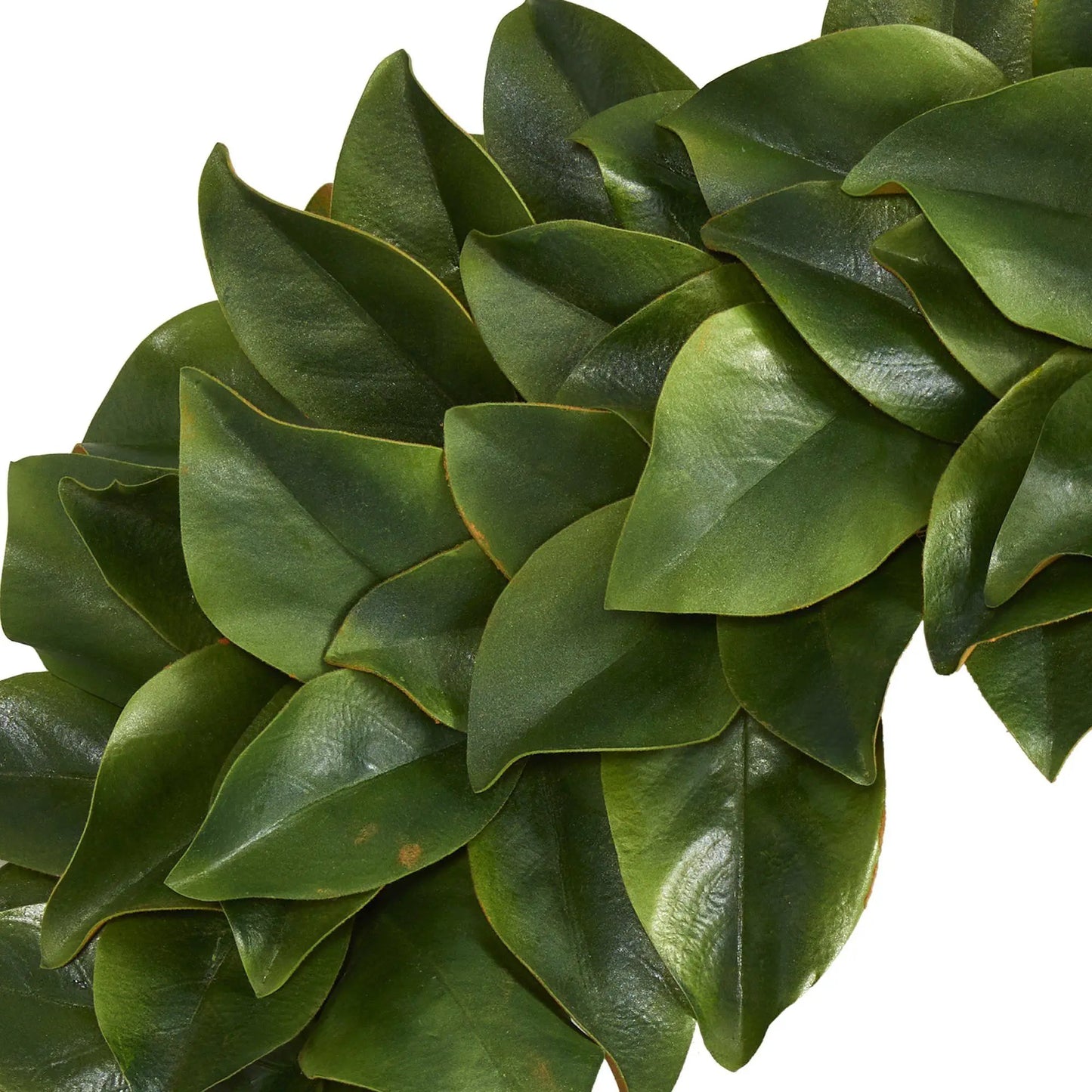 Thirty Inch Magnolia Artificial Wreath by Nearly Natural with glossy green magnolia leaves on Tampa Home & Garden Store