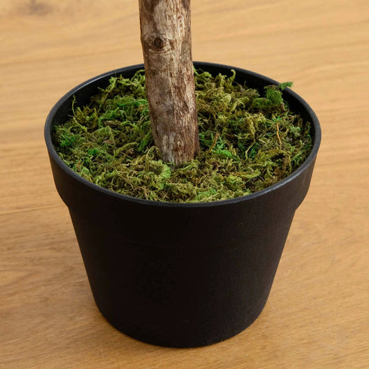 Nearly Natural Olive Topiary Tree UV Resistant 34in in black planter with moss base on Tampa Home & Garden Store