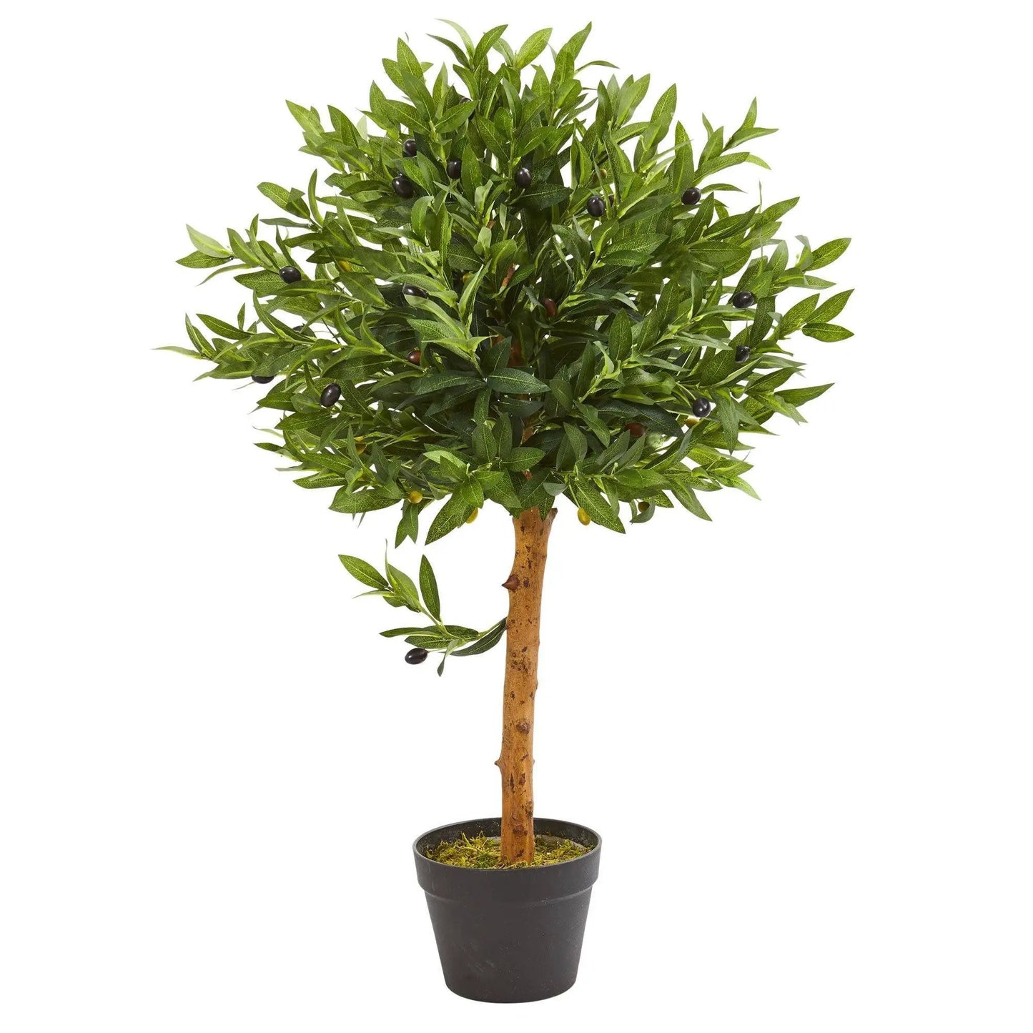 Nearly Natural Olive Topiary Tree 34in UV resistant indoor outdoor in a black pot on Tampa Home & Garden Store