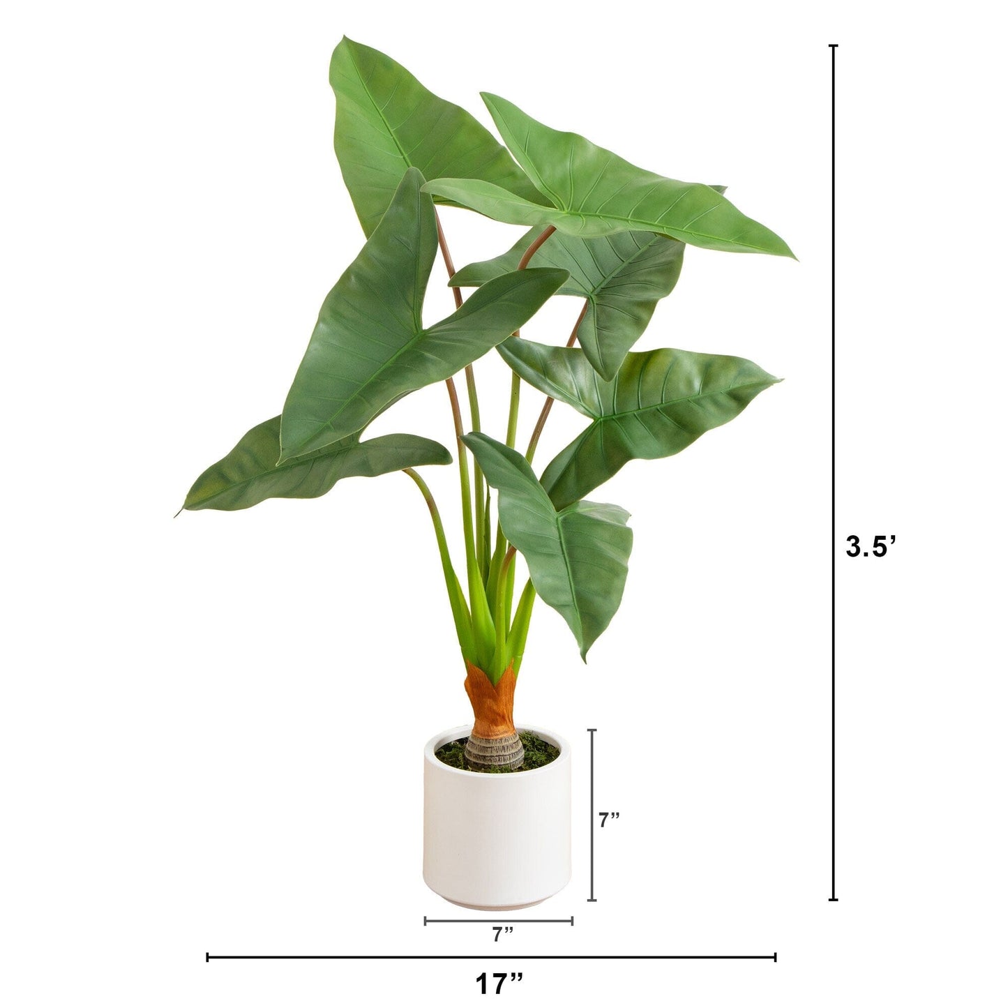 Artificial Arrowhead Plant in the White Planter