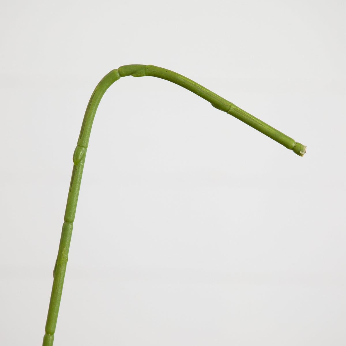 Nearly Natural 35in green artificial orchid stem on Tampa Home & Garden Store