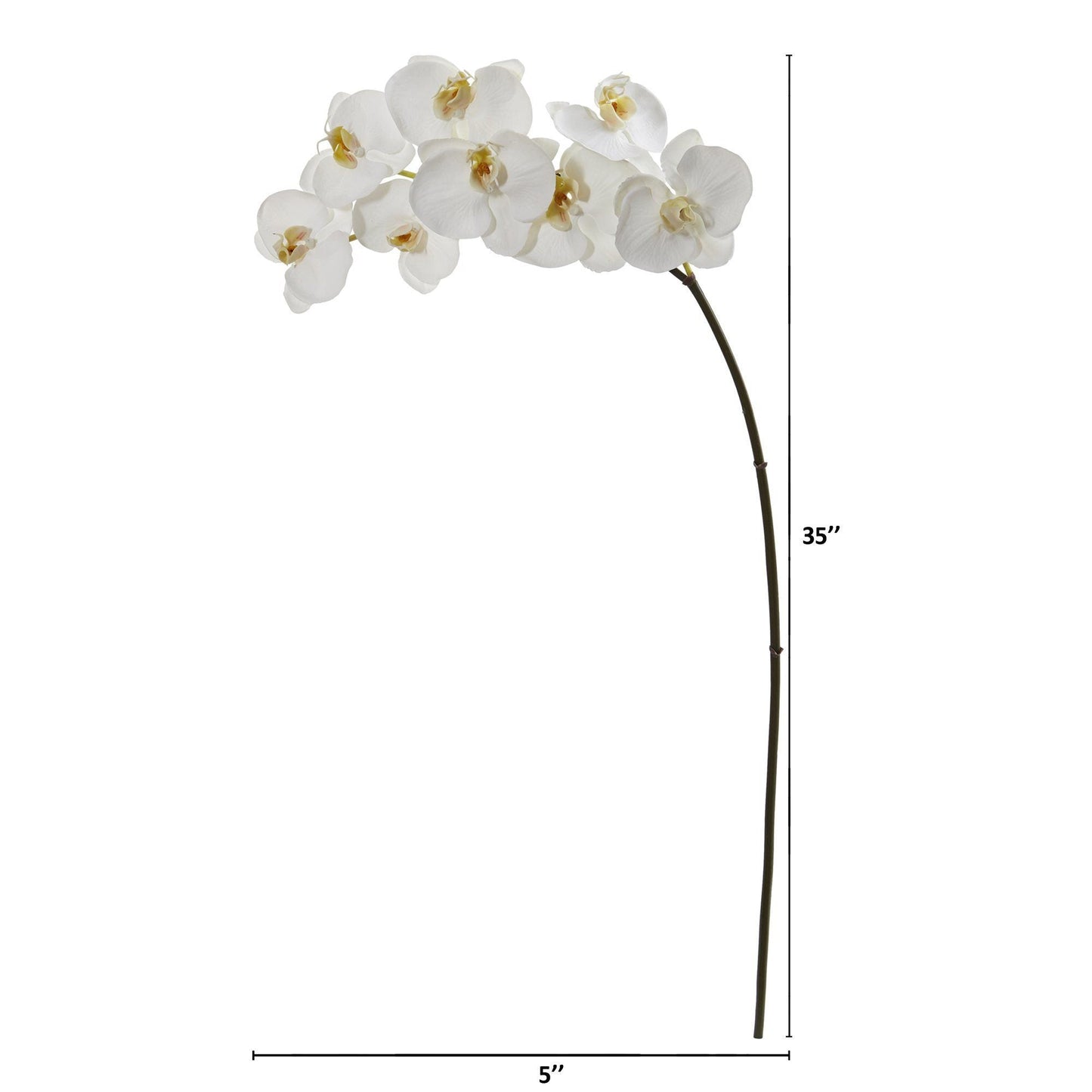 Nearly Natural 35in Phalaenopsis orchid artificial flowers, set of 6 white blooms on brown stem on Tampa Home & Garden Store