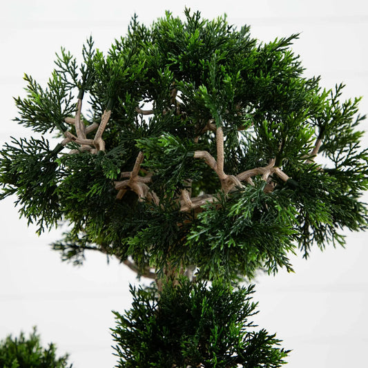 Cedar Bonsai Silk Plant by Nearly Natural, 36 in tall, lush green cedar foliage on brown trunks on Tampa Home & Garden Store