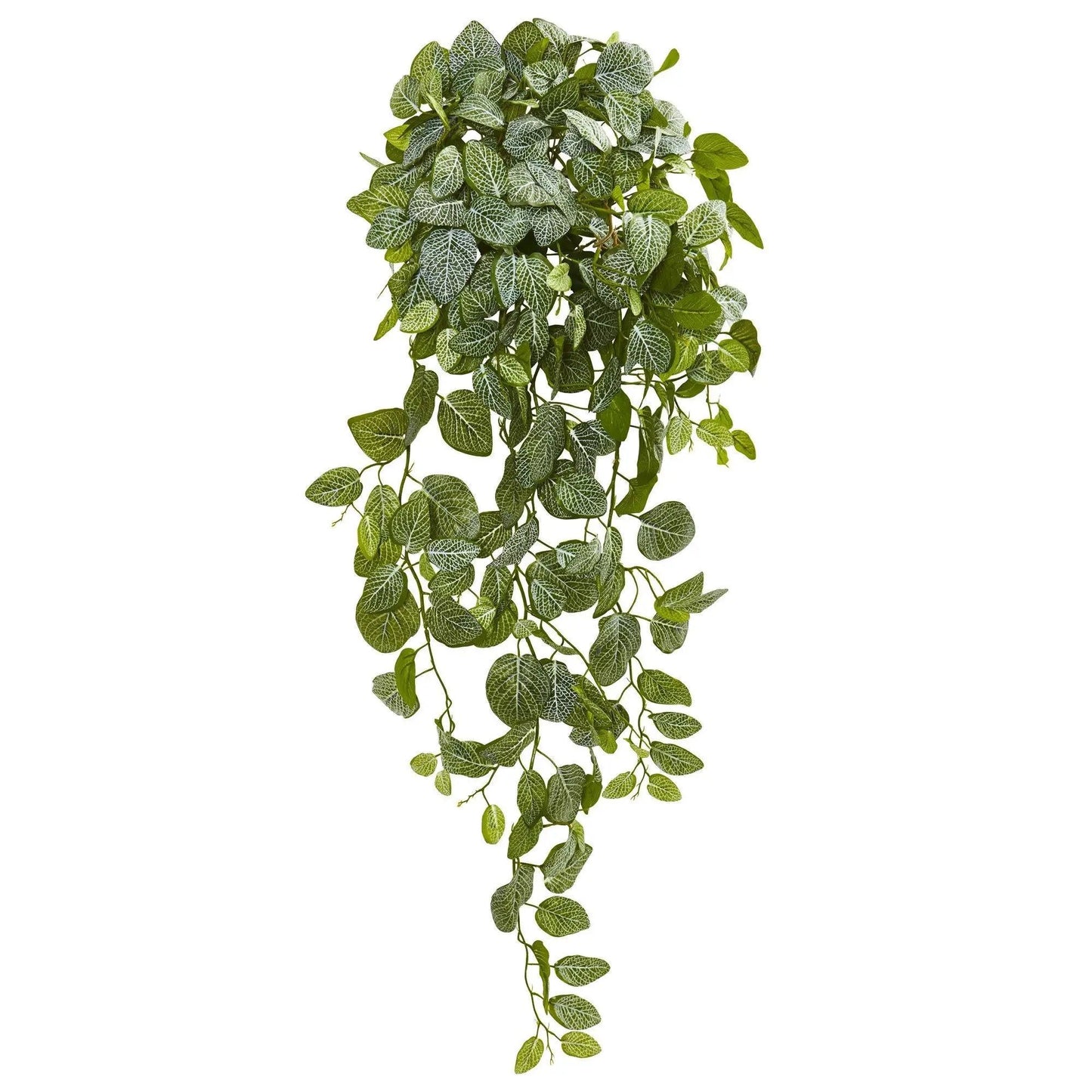 Summer artificial Fittonia hanging plant set of 2, green leaves with white veins, Nearly Natural on Tampa Home & Garden Store