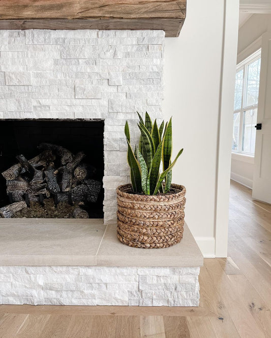 38” Sansevieria Artificial Plant - Tampa Home & Garden Store