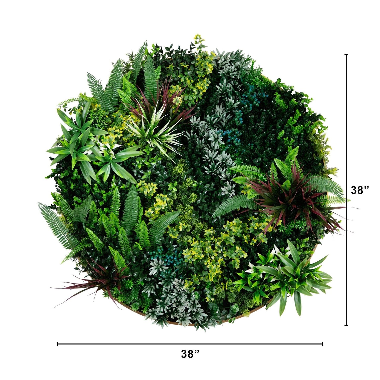 Virgin Islands 38in artificial living wall panel in gold aluminum frame with tropical flora on Tampa Home & Garden Store