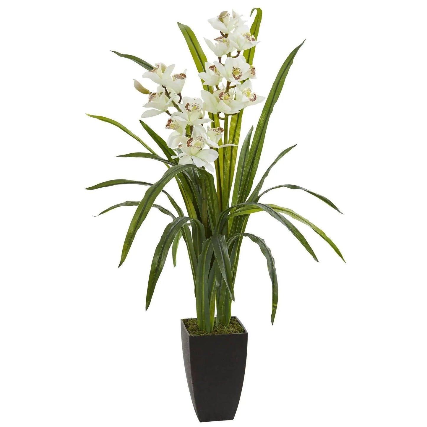 Cymbidium orchid artificial plant 39 tall with white blooms and long green leaves in a black pot on Tampa Home & Garden Store