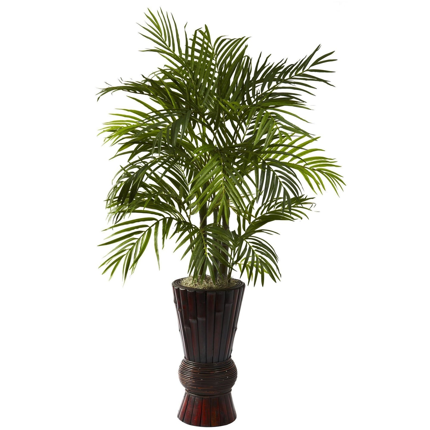 Areca de 4’ con macetero de bambú