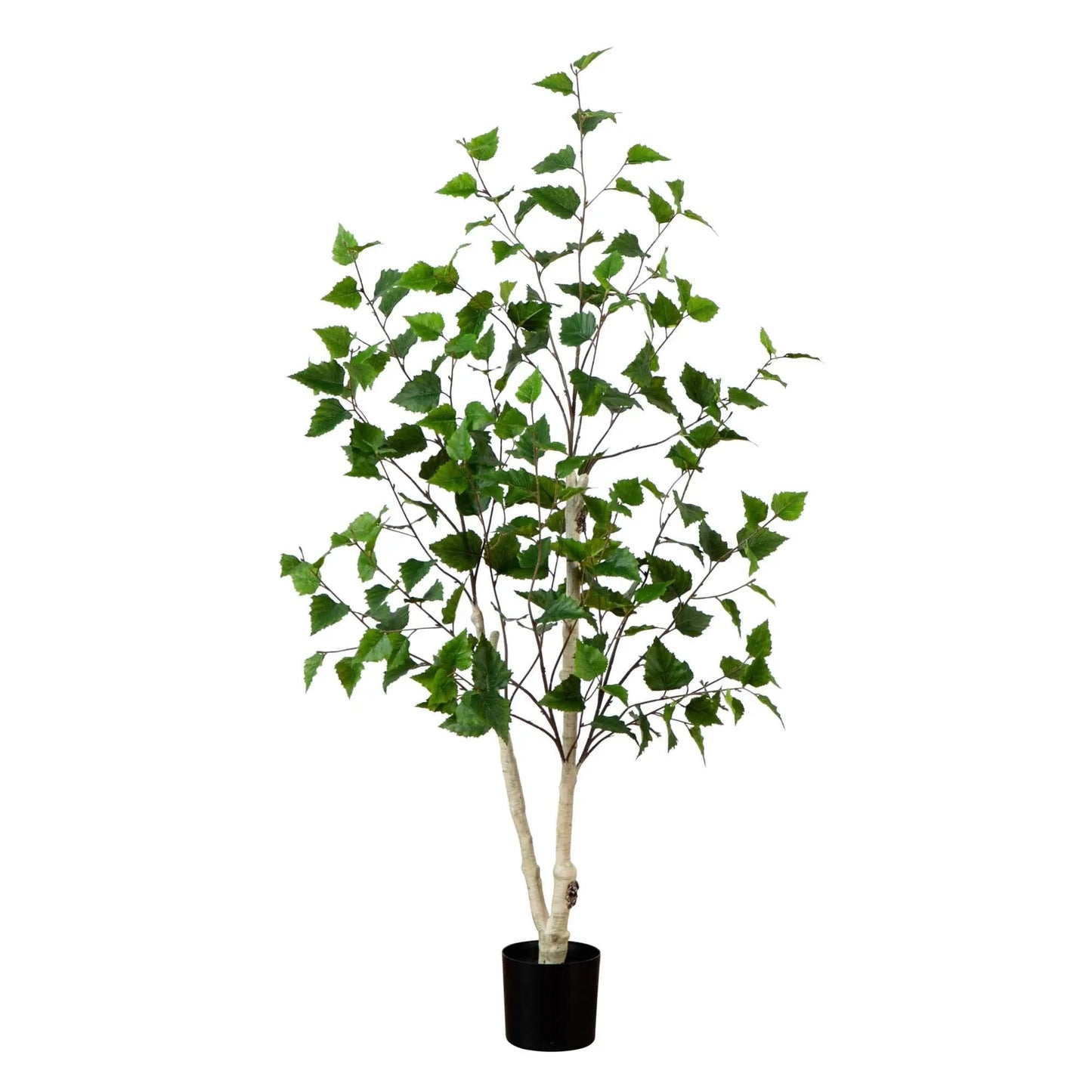 4ft Artificial Birch Tree by Nearly Natural in black pot with green leaves for home decor on Tampa Home & Garden Store