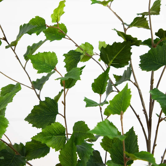 4ft artificial birch tree with bright green serrated leaves and slender brown branches on Tampa Home & Garden Store