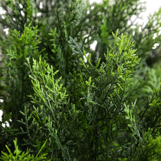 4’ Artificial Cedar Bush UV Resistant (Indoor/Outdoor) - Tampa Home & Garden Store