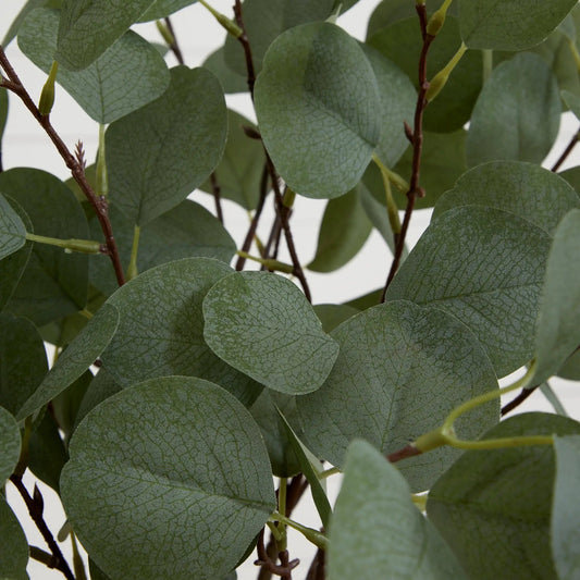4ft artificial eucalyptus tree with lifelike gray-green leaves by Nearly Natural on Tampa Home & Garden Store