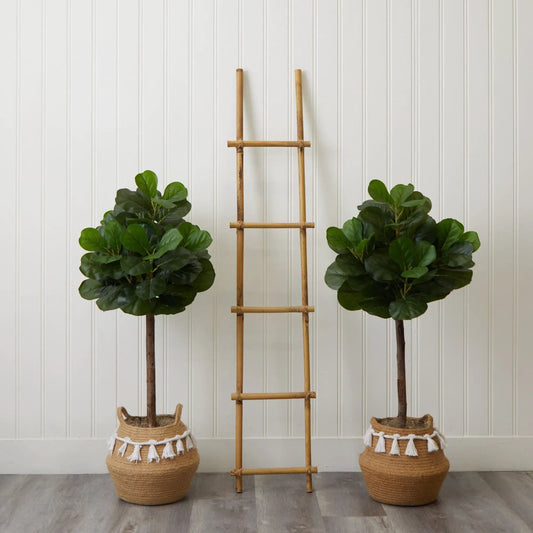 4 ft fiddle leaf fig tree kit in natural jute baskets, set of 2 with bamboo ladder on Tampa Home & Garden Store