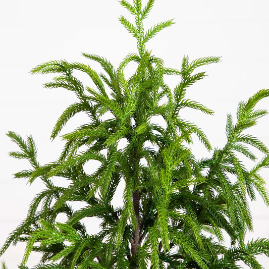 Artificial Norfolk Pine Tree 4 ft tall with bright green needles, Nearly Natural Christmas tree on Tampa Home & Garden Store