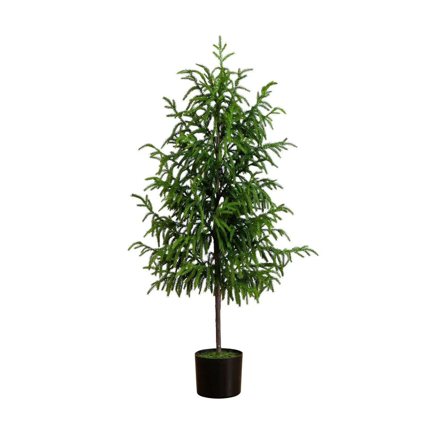 Artificial Norfolk Pine Tree, 4 ft tall, green foliage, Nearly Natural in black planter on Tampa Home & Garden Store