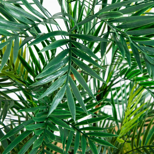 4 ft artificial parlour palm tree with dense green glossy fronds on Tampa Home & Garden Store