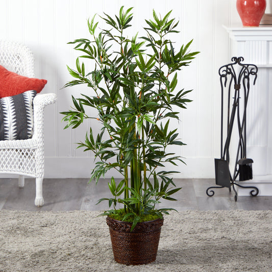 4’ Bamboo Tree in Coiled Rope Planter - Tampa Home & Garden Store