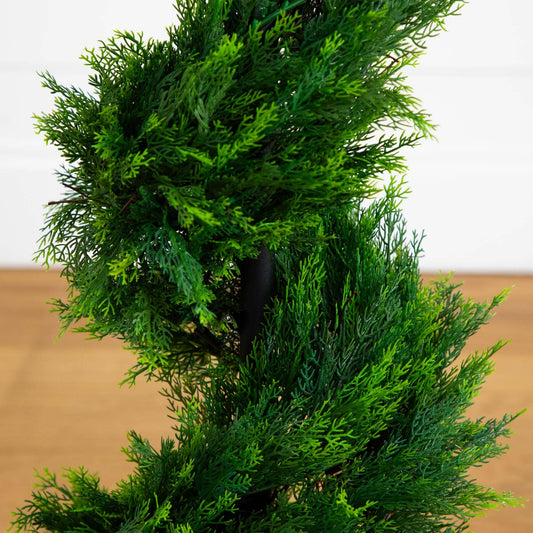 4' Cypress Spirial Silk Tree - Tampa Home & Garden Store