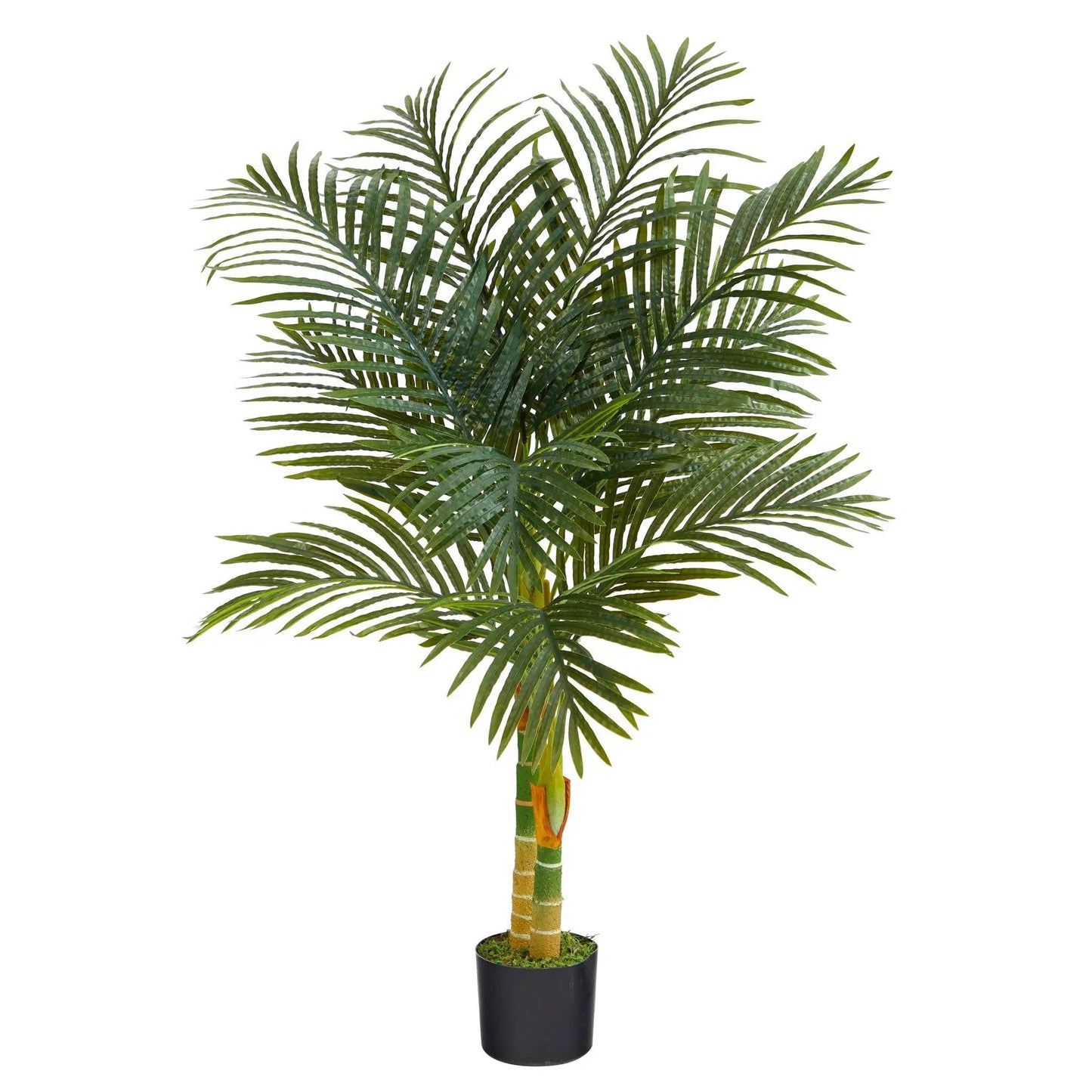 Golden Cane 4 ft artificial palm tree with double stalks, green fronds in black planter on Tampa Home & Garden Store