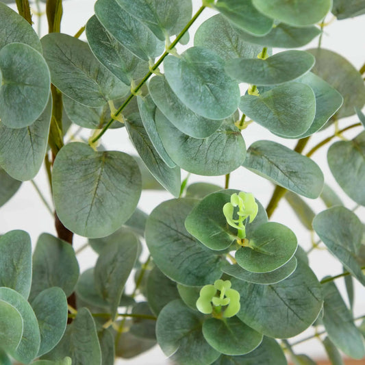 4 ft eucalyptus artificial tree with gray-green leaves and trunk by Nearly Natural on Tampa Home & Garden Store