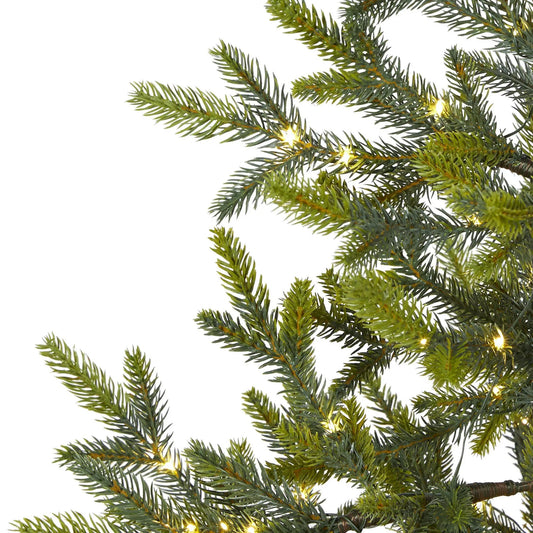 Fraser Fir Natural Look Christmas Tree branch close-up with warm LED lights on Tampa Home & Garden Store