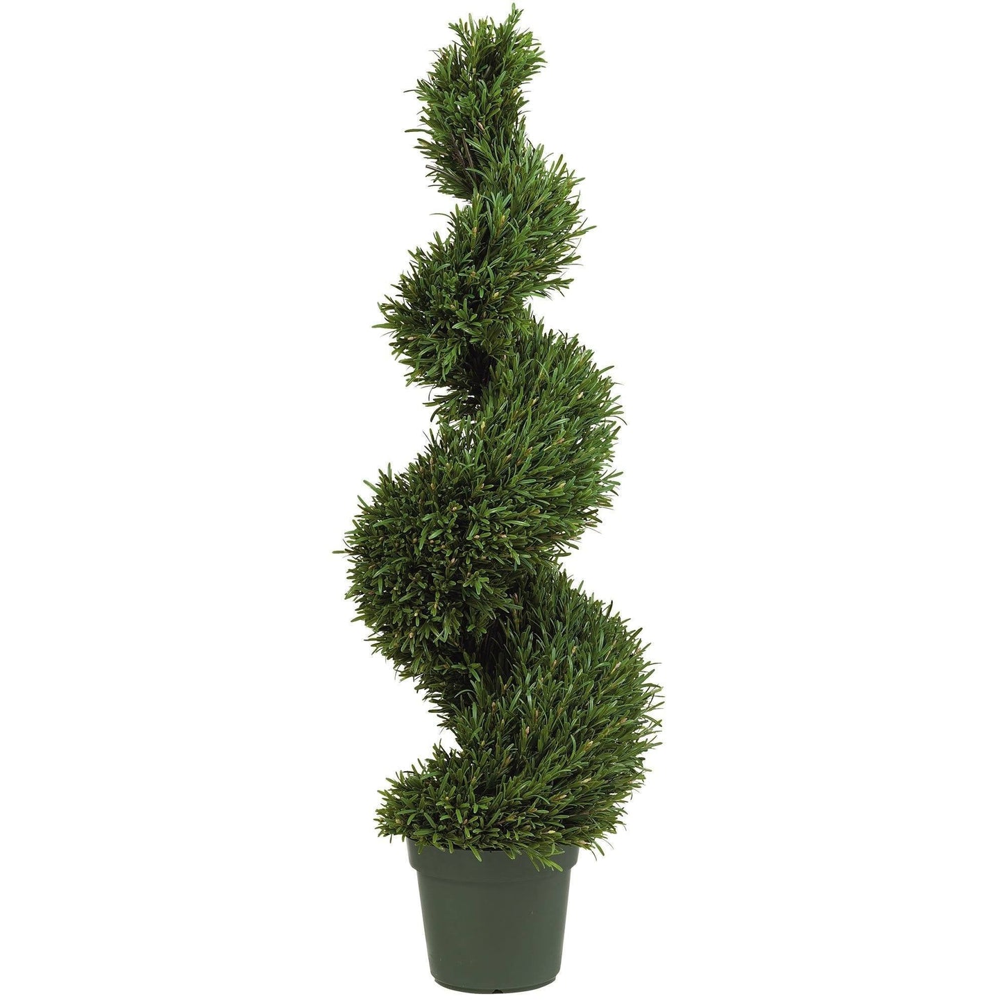 Rosemary Spiral Silk Tree 4' in green pot for indoor outdoor use on Tampa Home & Garden Store