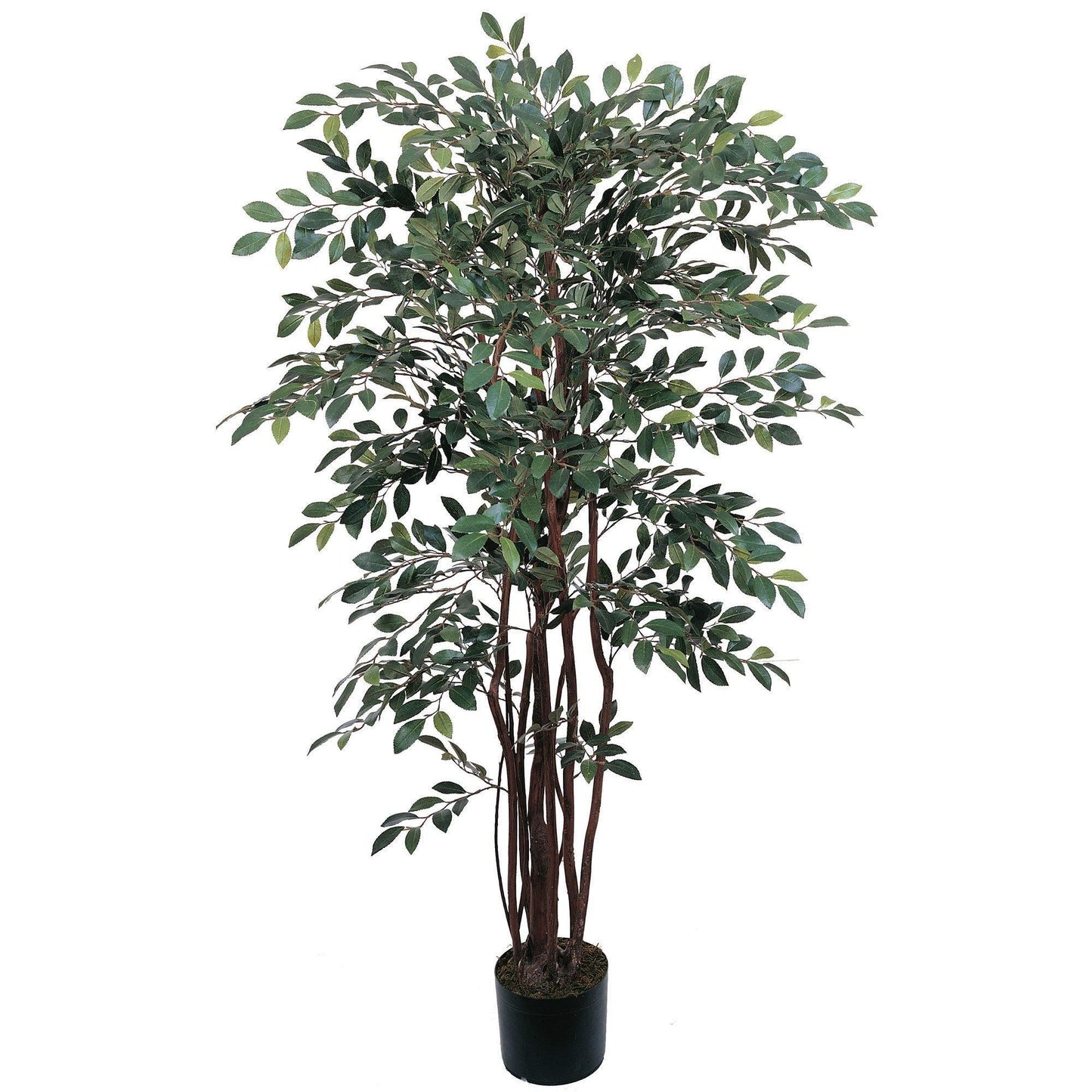 4' Ruscus Silk Tree by Nearly Natural in a black pot with lush green leaves on Tampa Home & Garden Store