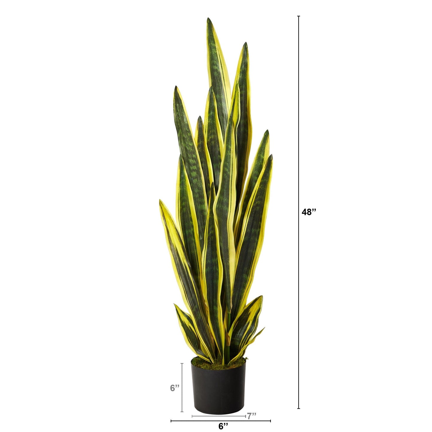 4’ Sansevieria artificial plant with yellow-edged leaves in a black pot Nearly Natural on Tampa Home & Garden Store