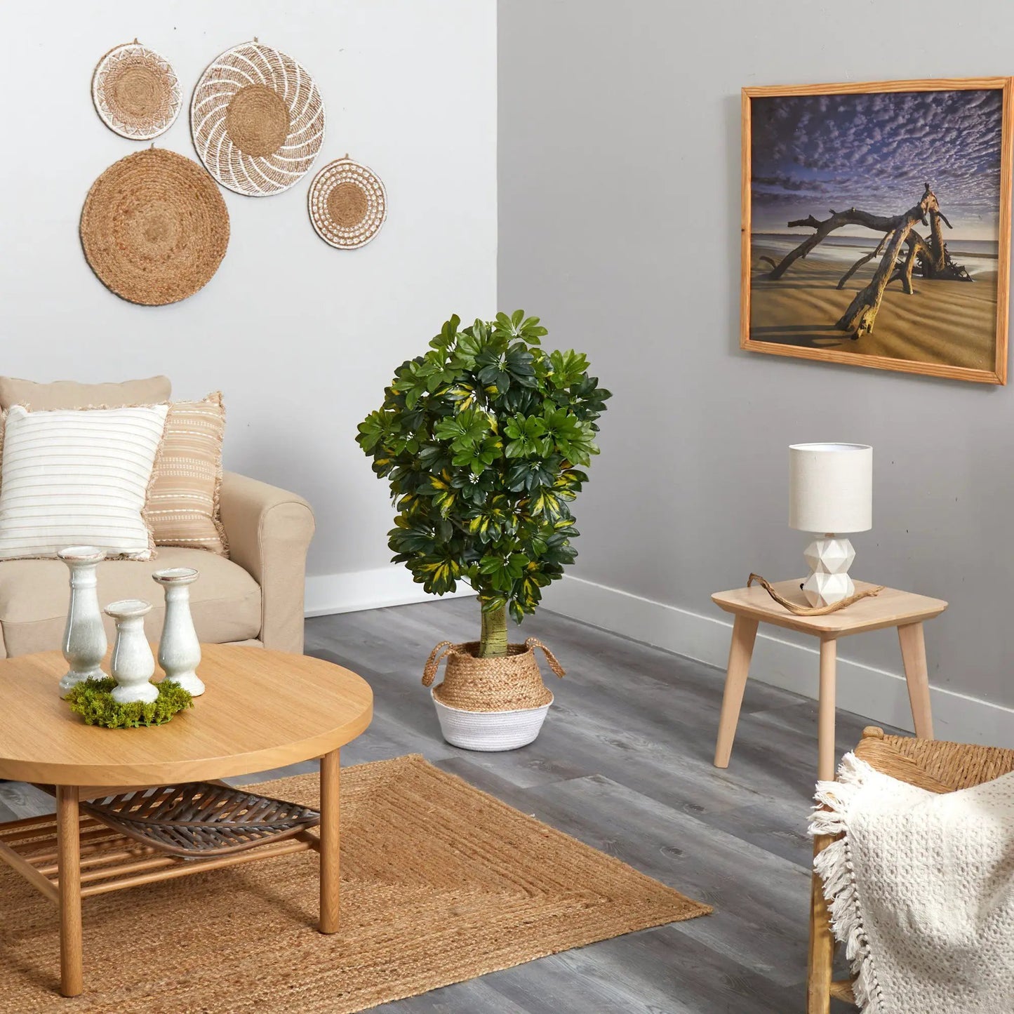 Schefflera artificial tree in boho chic woven planter with lush green leaves on Tampa Home & Garden Store