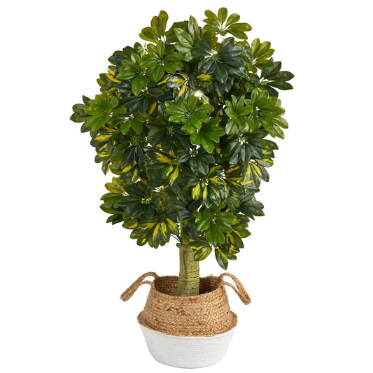 Schefflera artificial tree with green and yellow leaves in a boho woven planter on Tampa Home & Garden Store