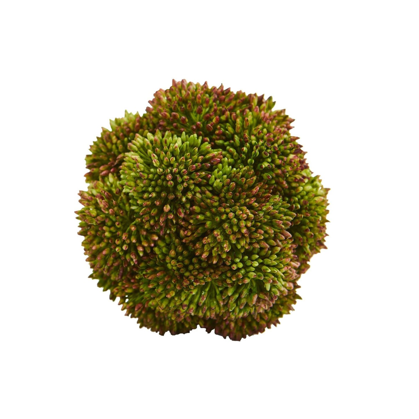 4 inch Sedum artificial succulent spheres set of six, green with pink tips, Nearly Natural on Tampa Home & Garden Store