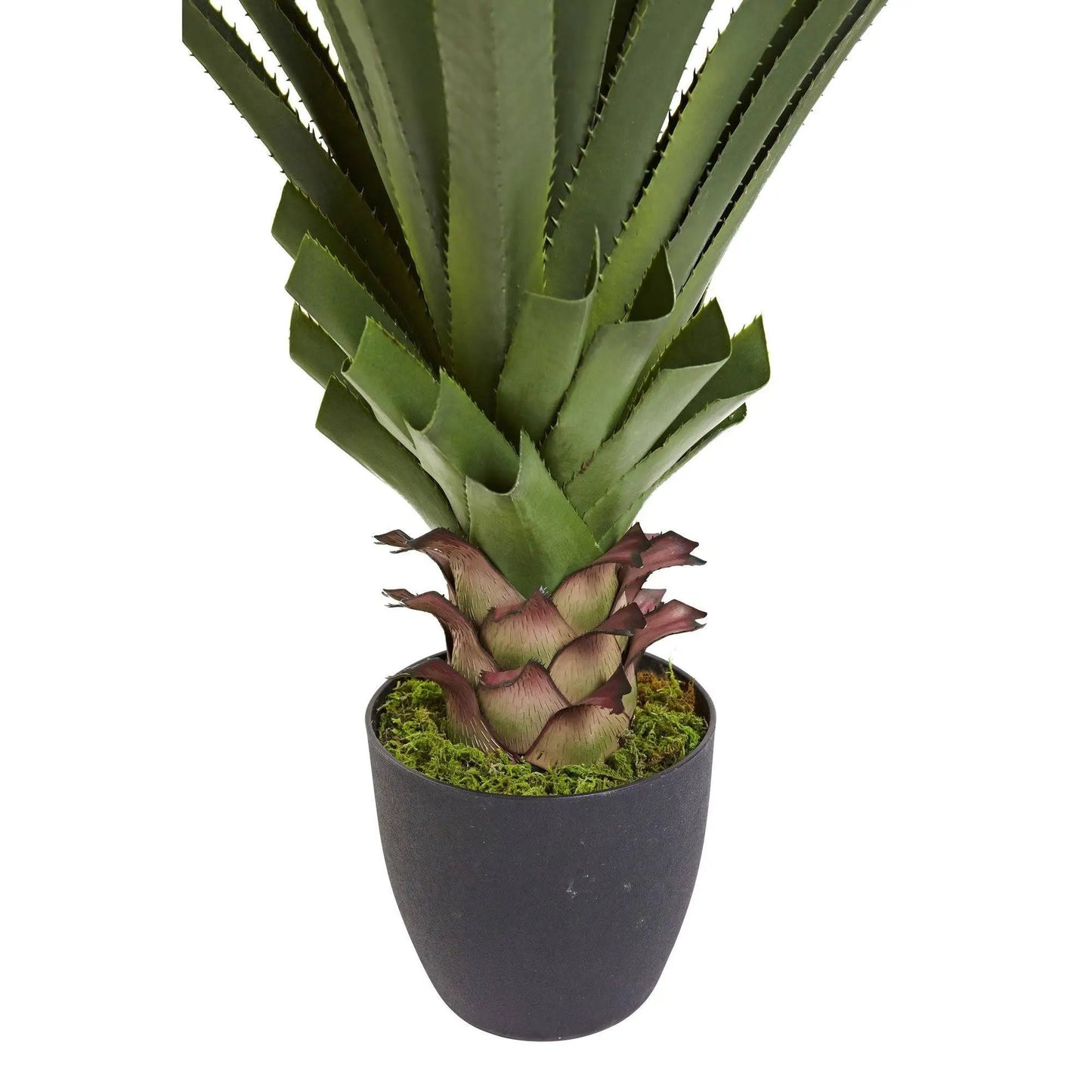 Artificial four-foot spiked agave plant Nearly Natural in a black pot with moss on Tampa Home & Garden Store