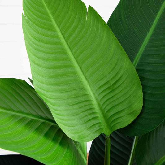 4’ Travelers Artificial Palm Tree in Oval Planter - Tampa Home & Garden Store