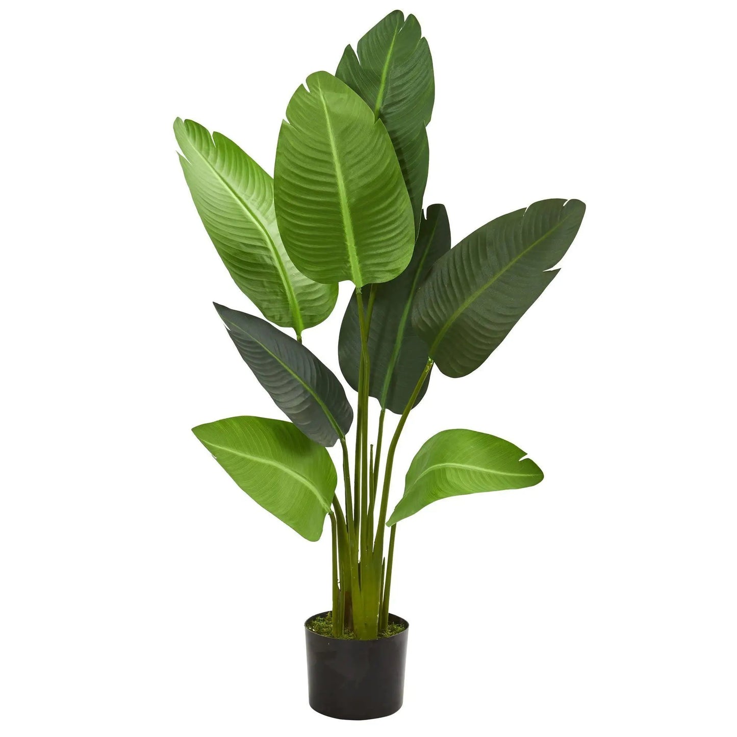 4 ft Travelers Palm Artificial Tree Nearly Natural in a black pot on Tampa Home & Garden Store