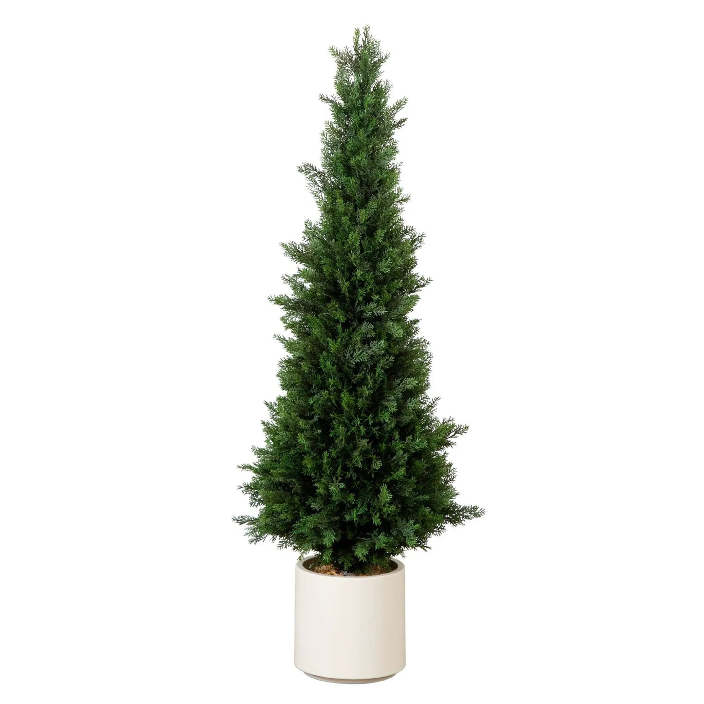 4 Foot UV Resistant Cedar Tree in White Planter on Tampa Home & Garden Store