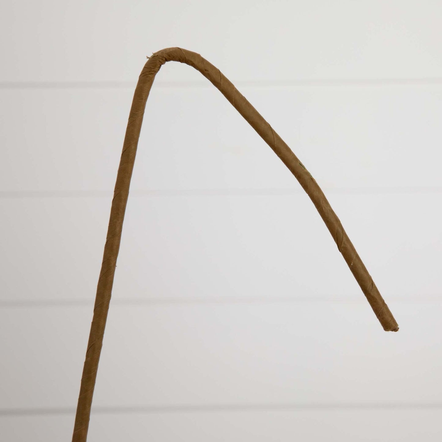 Tallos de eucalipto artificiales de 101 cm - Juego de 3