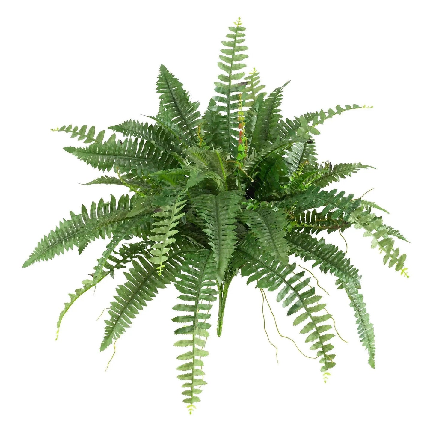 40-Inch artificial Boston fern set of 2 with lush green fronds by Nearly Natural plant on Tampa Home & Garden Store