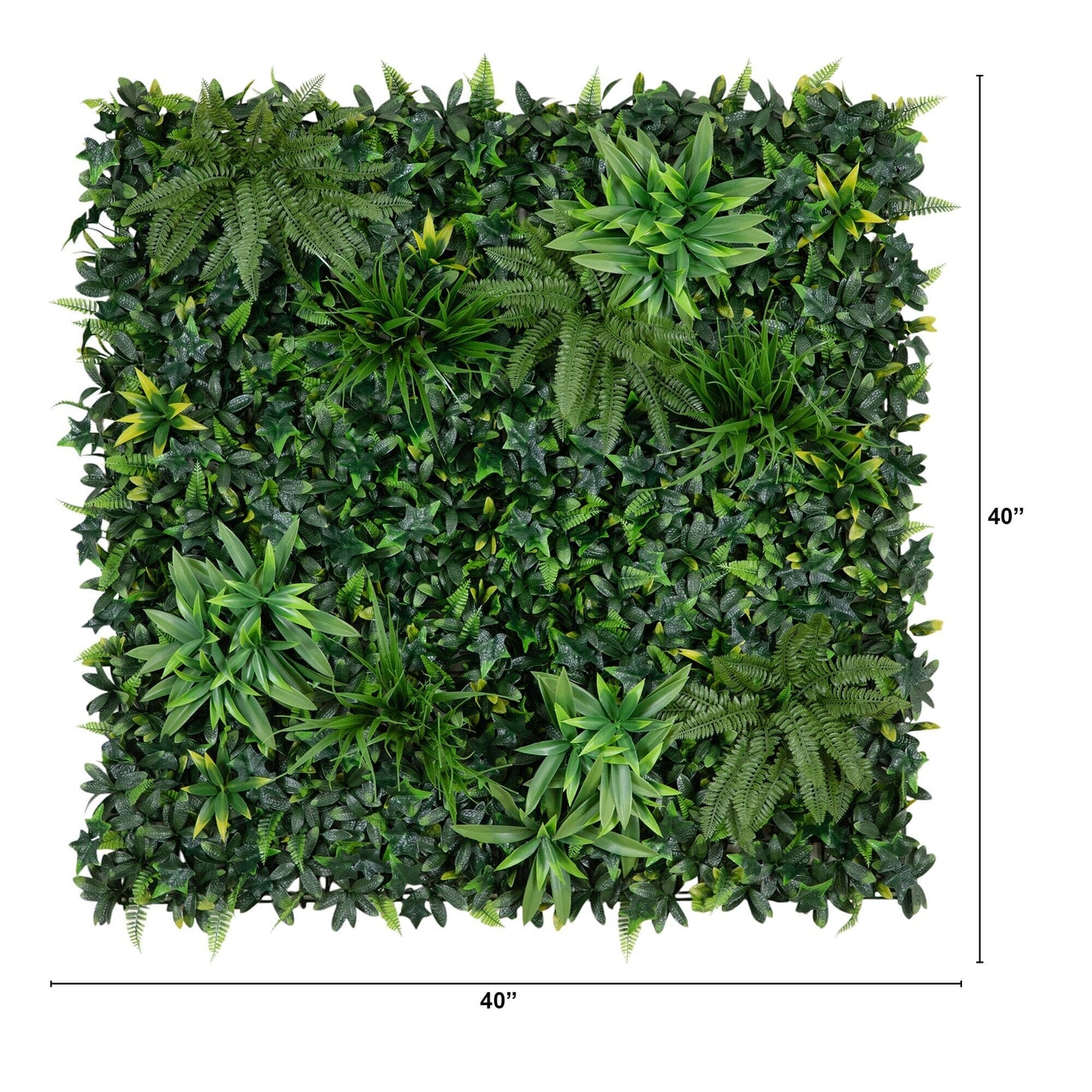 Andean Cloud Forest Living Wall and Garden Decor