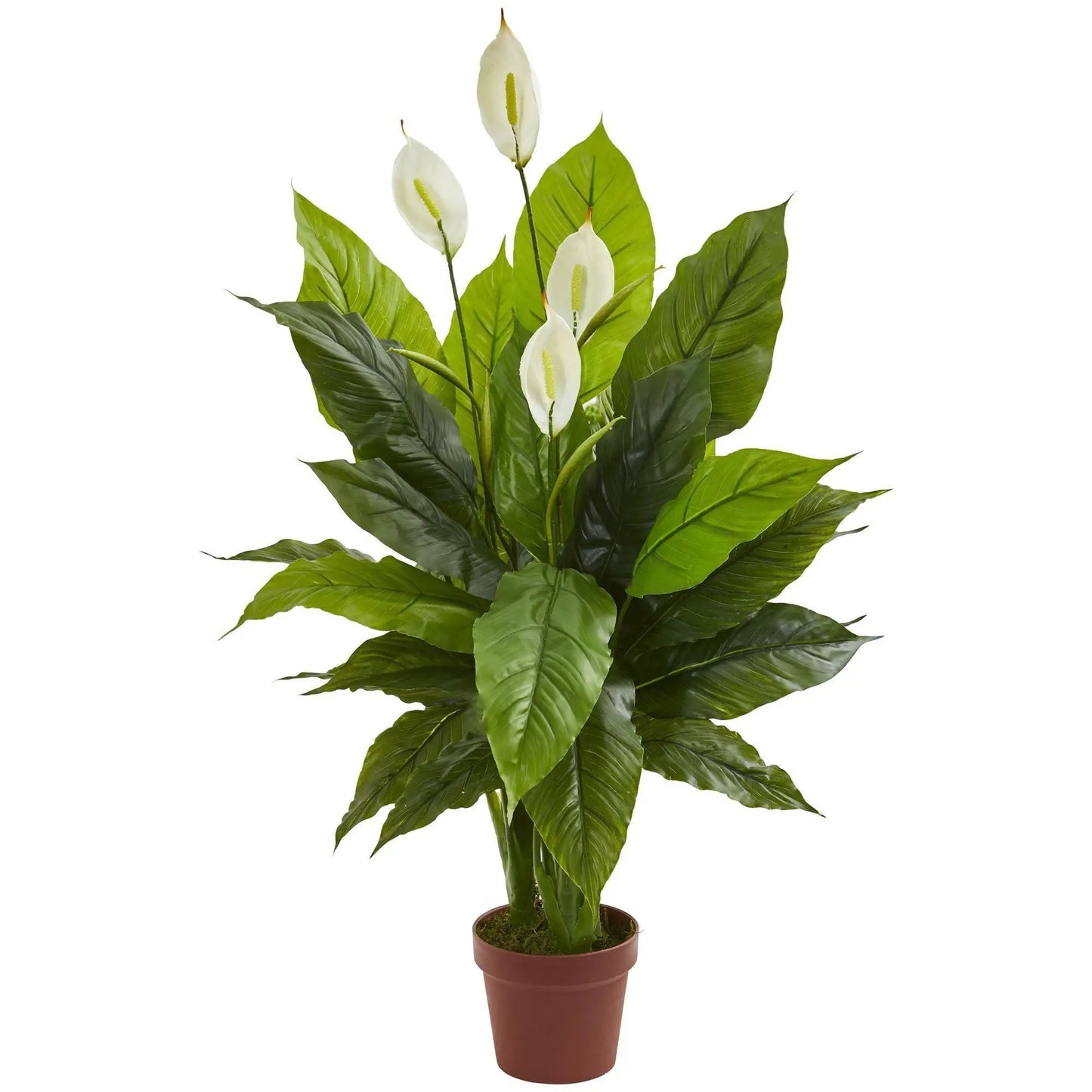 Artificial Spathiphyllum plant 42 in with white peace lilies and glossy green leaves in pot on Tampa Home & Garden Store