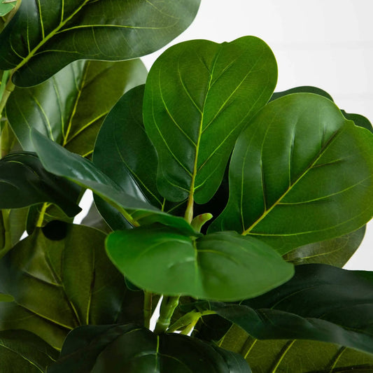 Fiddle Leaf Fig artificial tree foliage close-up with glossy green leaves Nearly Natural on Tampa Home & Garden Store