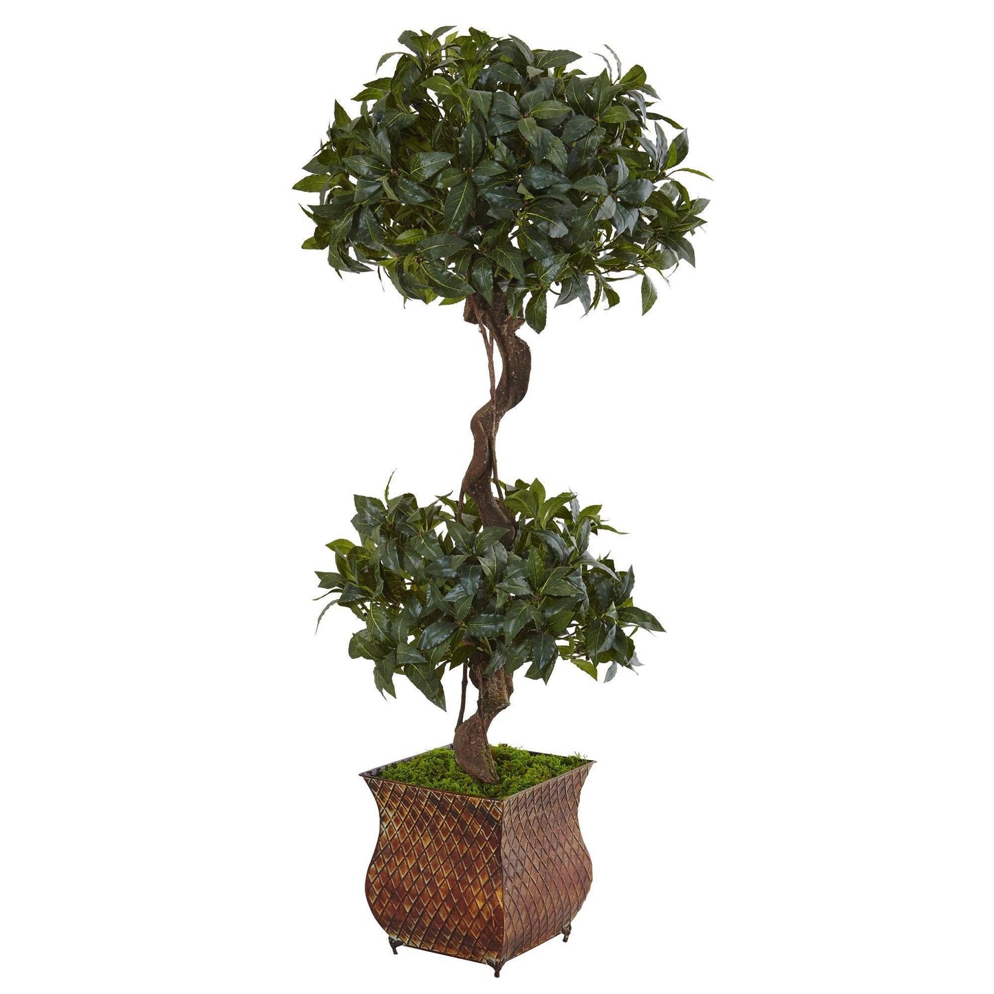 4.5 ft Sweet Bay Double Topiary Tree in brown textured metal planter with dark green leaves on Tampa Home & Garden Store