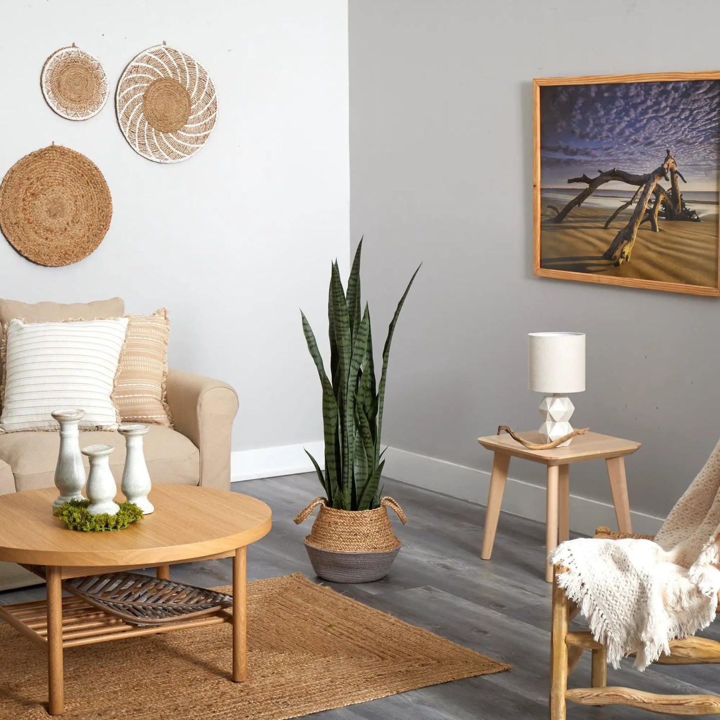 46-Inch Sansevieria plant in Boho Chic gray woven planter by Nearly Natural on Tampa Home & Garden Store