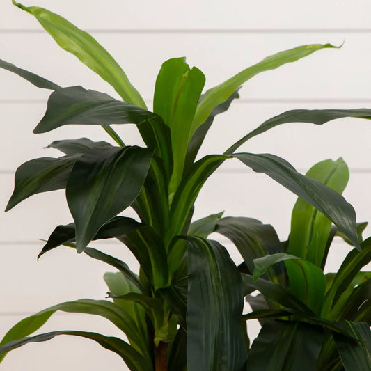 Nearly Natural 48-Inch Dracaena Silk Plant Real Touch artificial green foliage on Tampa Home & Garden Store