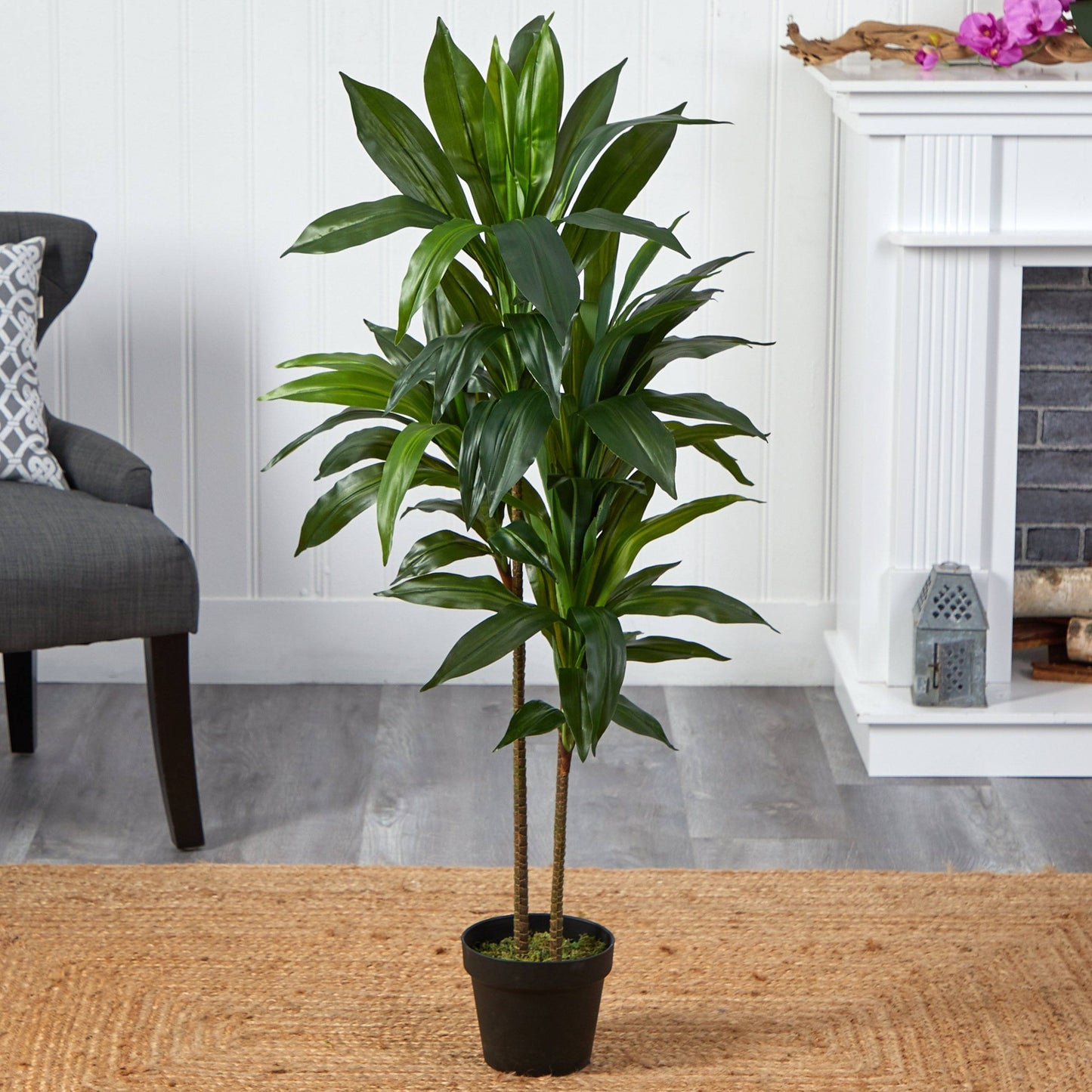 48-inch Dracaena Silk Plant Real Touch by Nearly Natural with green leaves in a black pot on Tampa Home & Garden Store