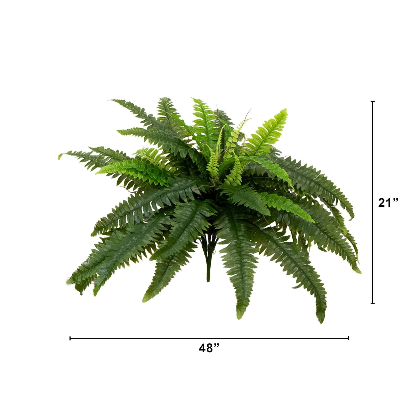 48 In Uv Resistant Fern and Bush for the Backyard