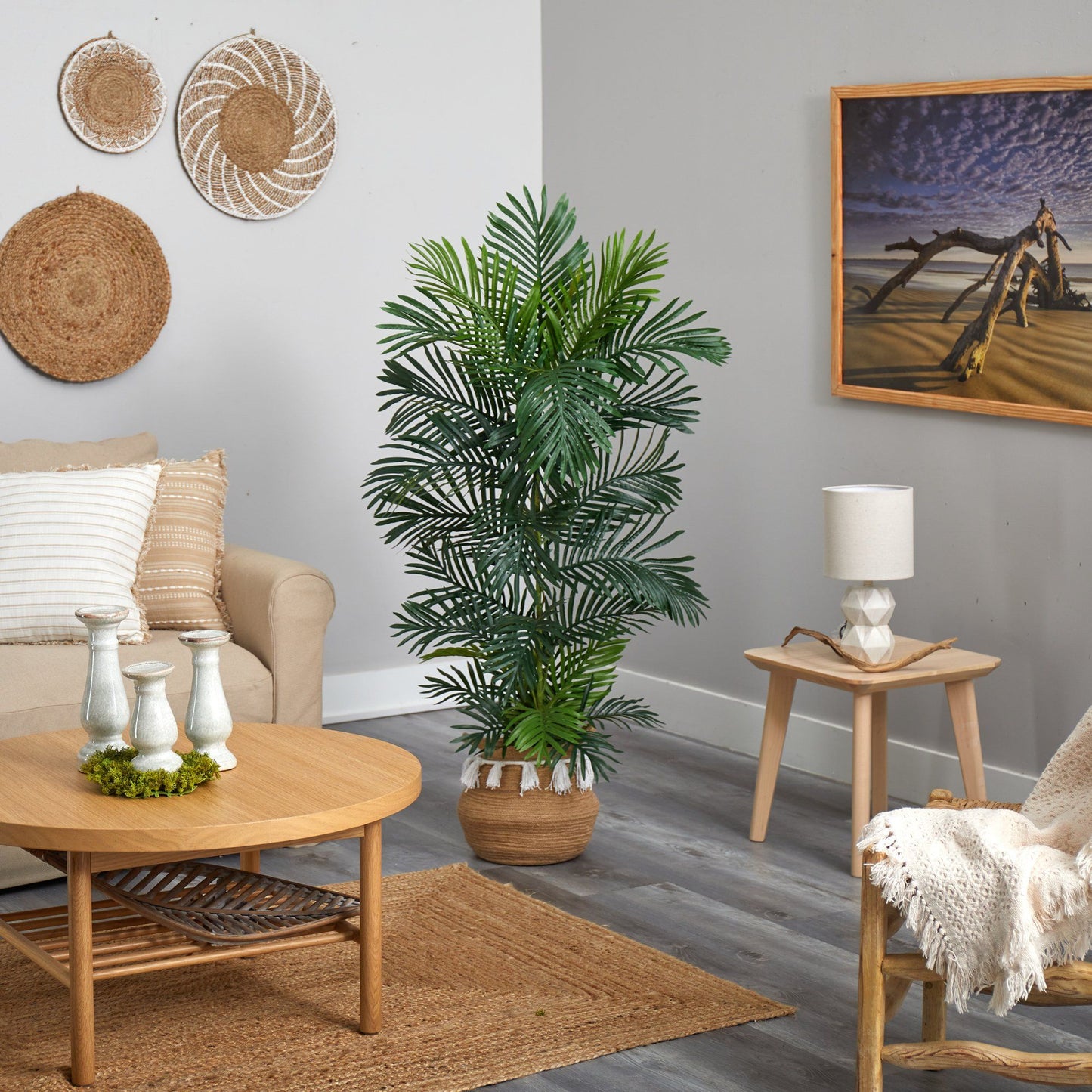 Areca Palm Tree in boho chic woven planter with tassels, green fronds indoors on Tampa Home & Garden Store