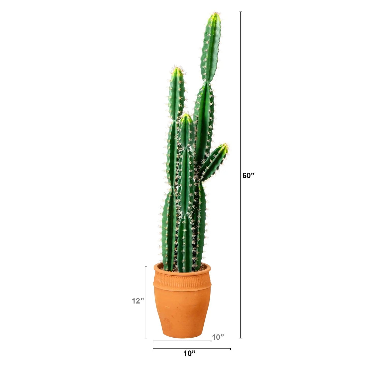 5’ Artificial Cactus in Terracotta Planter - Tampa Home & Garden Store
