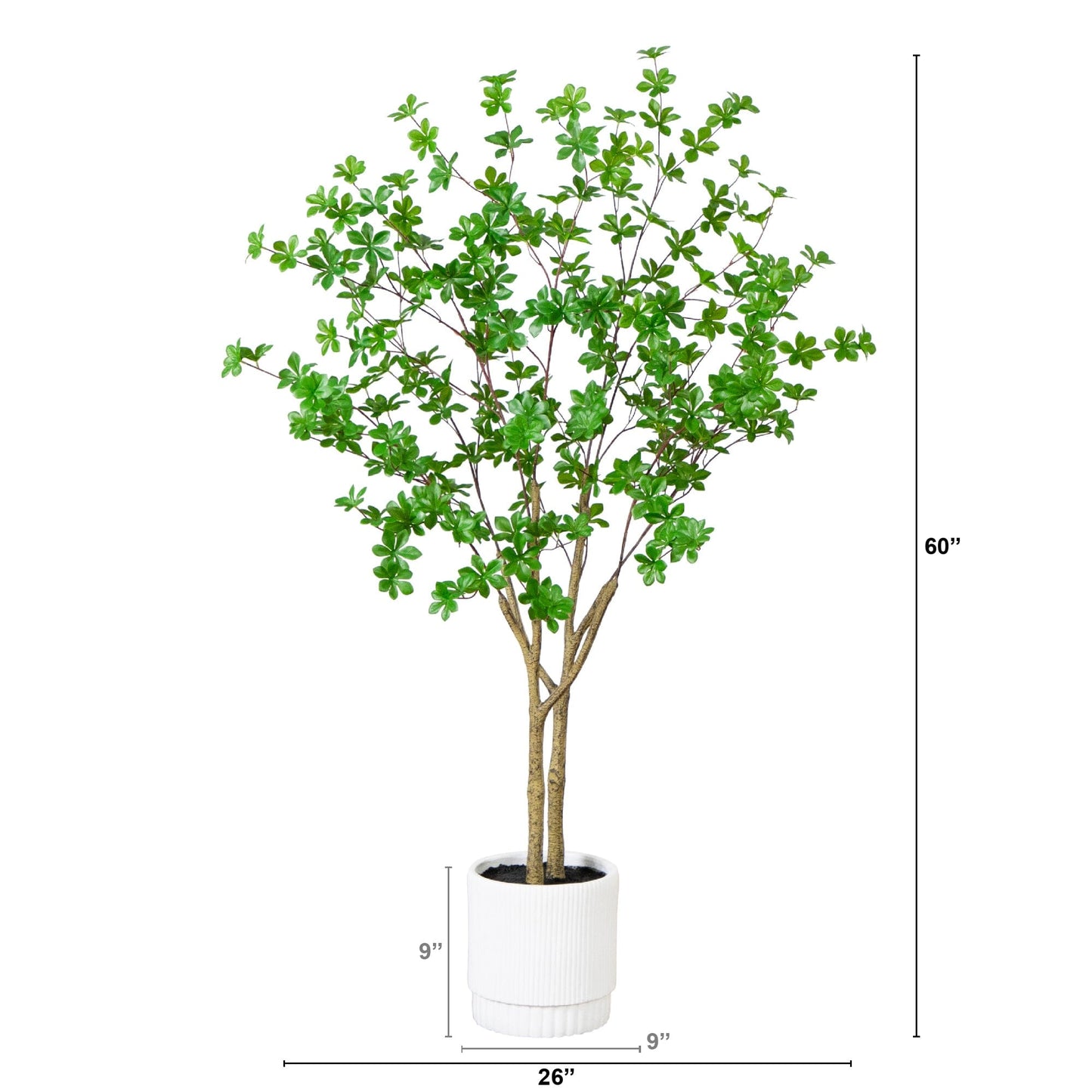 Artificial Enkianthus Tree In A White Planter
