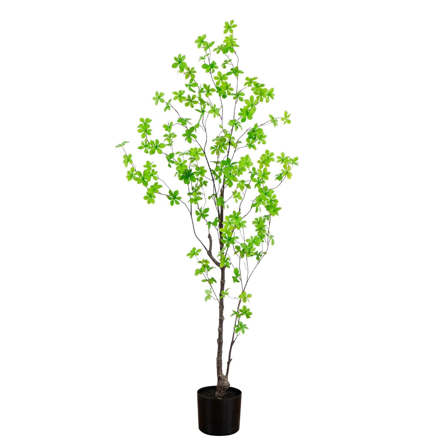 Artificial Minimalist Enkianthus Tree, 5 ft tall with bright green foliage in a dark pot by Nearly Natural on Tampa Home & Garden Store